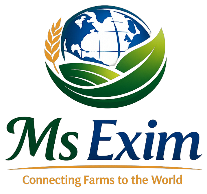 logo-img